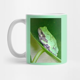 Tree Frog Love Mug